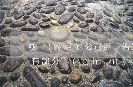物業(yè)公司拒絕告知業(yè)主共有部分產(chǎn)生收入應(yīng)怎么辦？